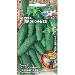 ПРОКОФЬЕВ