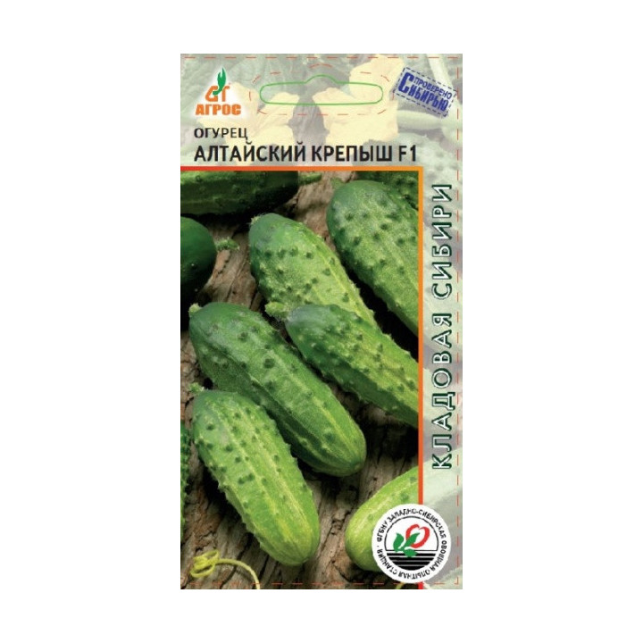 АЛТАЙСКИЙ КРЕПЫШ