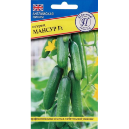 МАНСУР