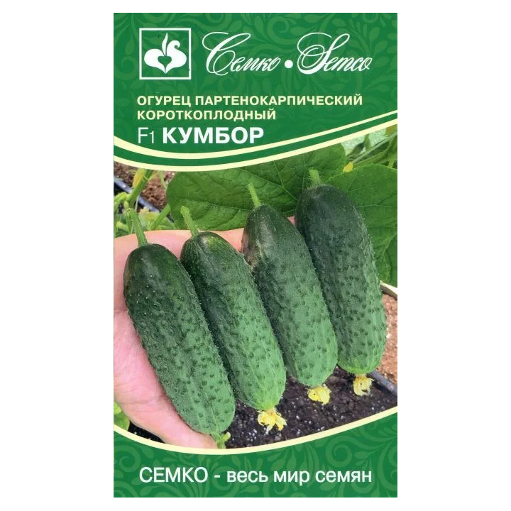 КУМБОР