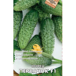 ПЕРВАЧОК