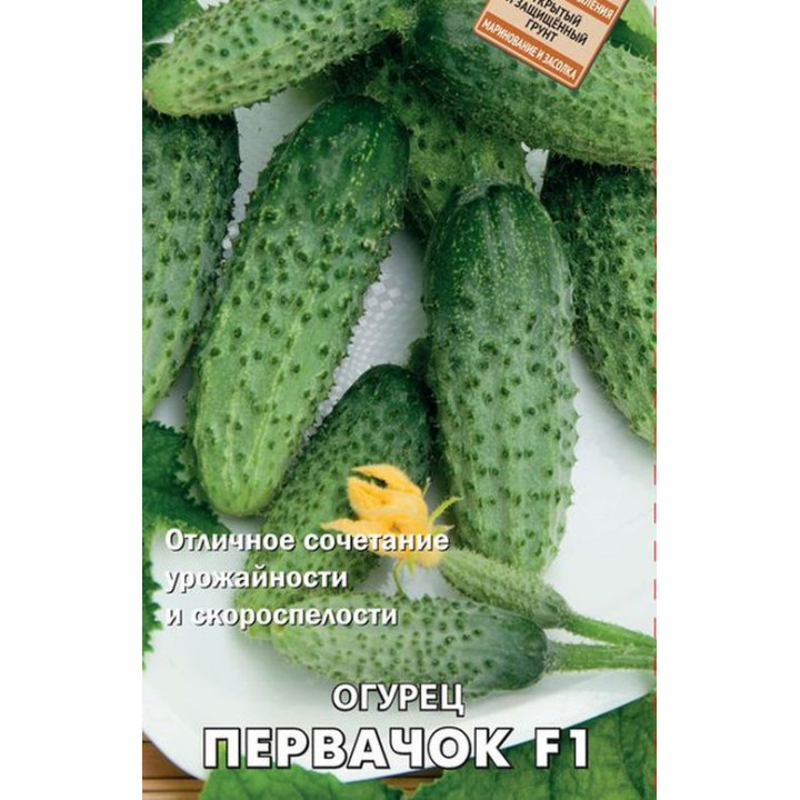 ПЕРВАЧОК