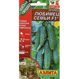 ЛЮБИМЕЦ СЕМЬИ