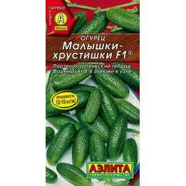 МАЛЫШКИ-ХРУСТИШКИ