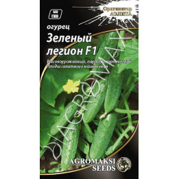 ЗЕЛЕНЫЙ ЛЕГИОН