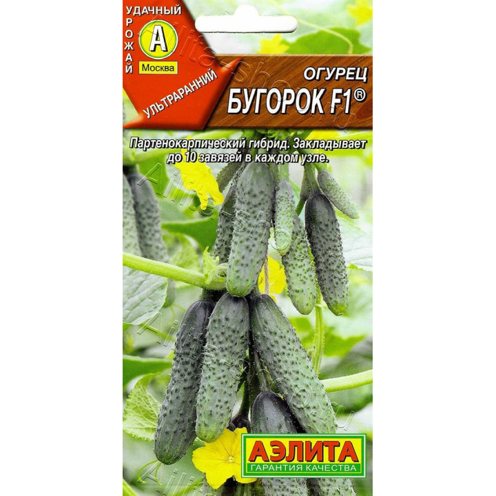 БУГОРОК