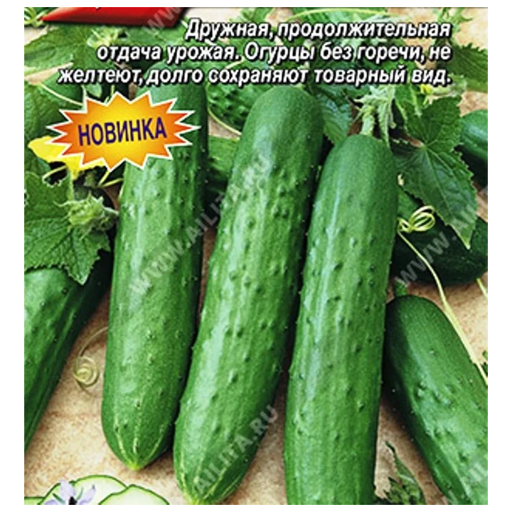 НАЛЕТАЙКА