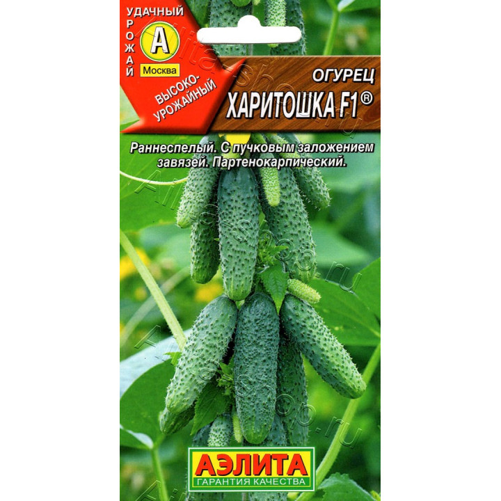 ХАРИТОШКА