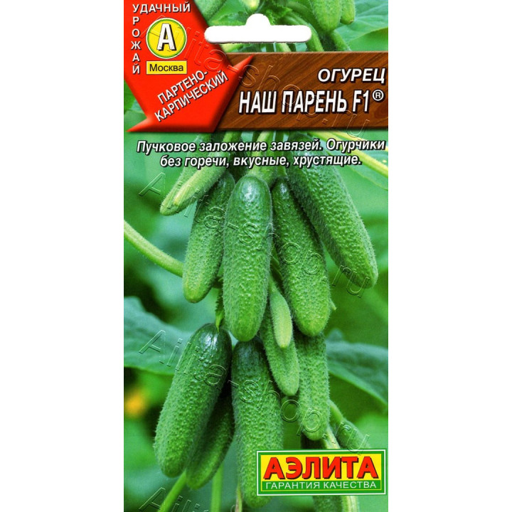 НАШ ПАРЕНЬ