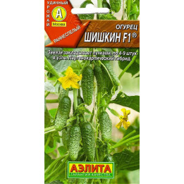 ШИШКИН