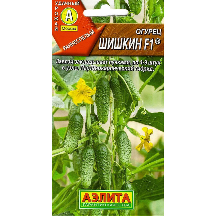 ШИШКИН