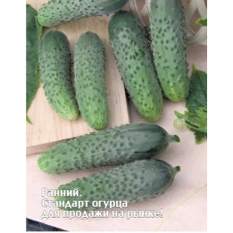 МОЦАРТ