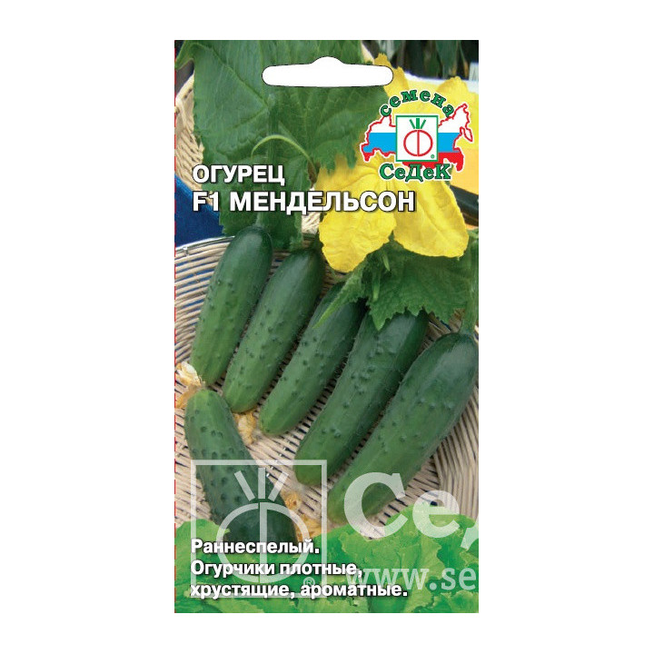 МЕНДЕЛЬСОН