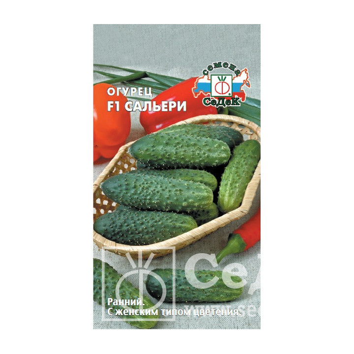 САЛЬЕРИ