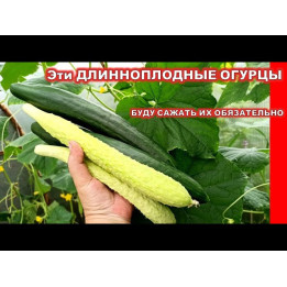 АДЗИИККАКУ