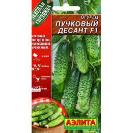 ДЕСАНТ