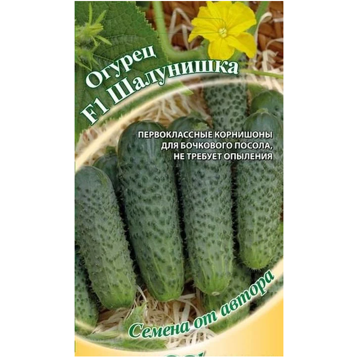 ШАЛУНИШКА