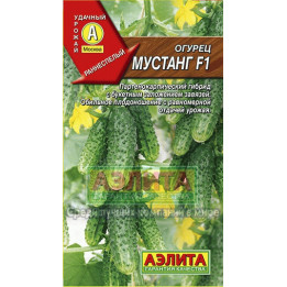 МУСТАНГ