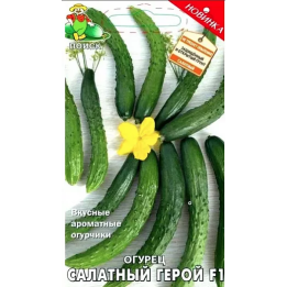 САЛАТНЫЙ ГЕРОЙ