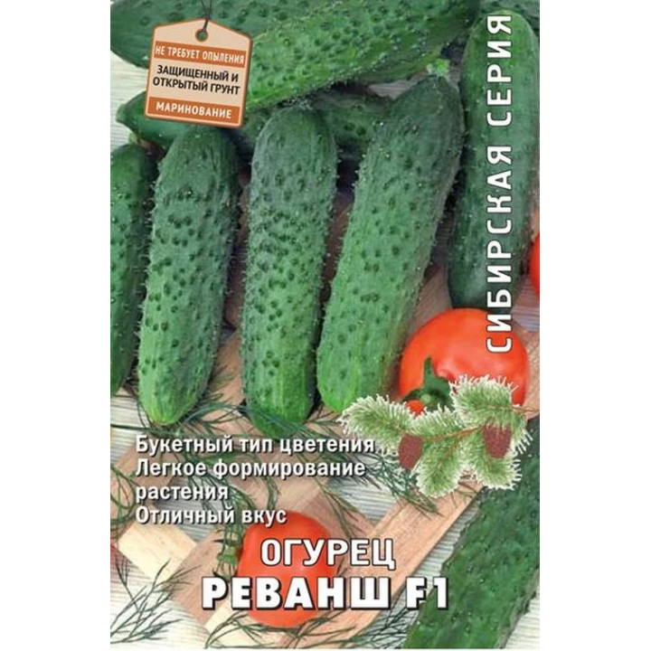 РЕВАНШ