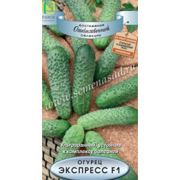 ЭКСПРЕСС