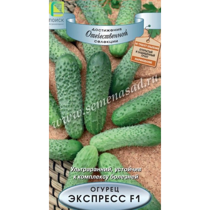 ЭКСПРЕСС