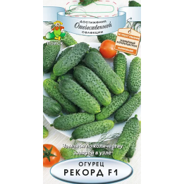 РЕКОРД