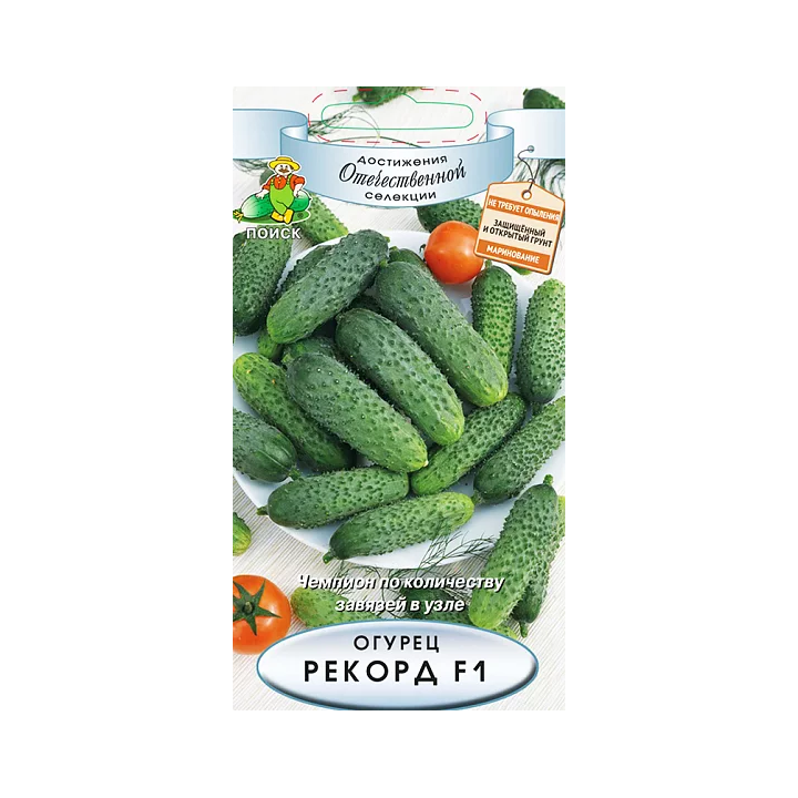 РЕКОРД