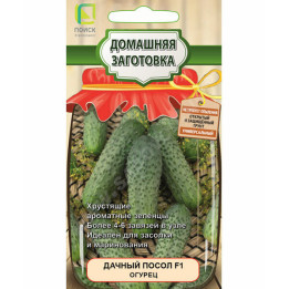 ДАЧНЫЙ ПОСОЛ
