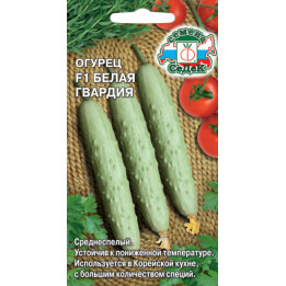БЕЛАЯ ГВАРДИЯ