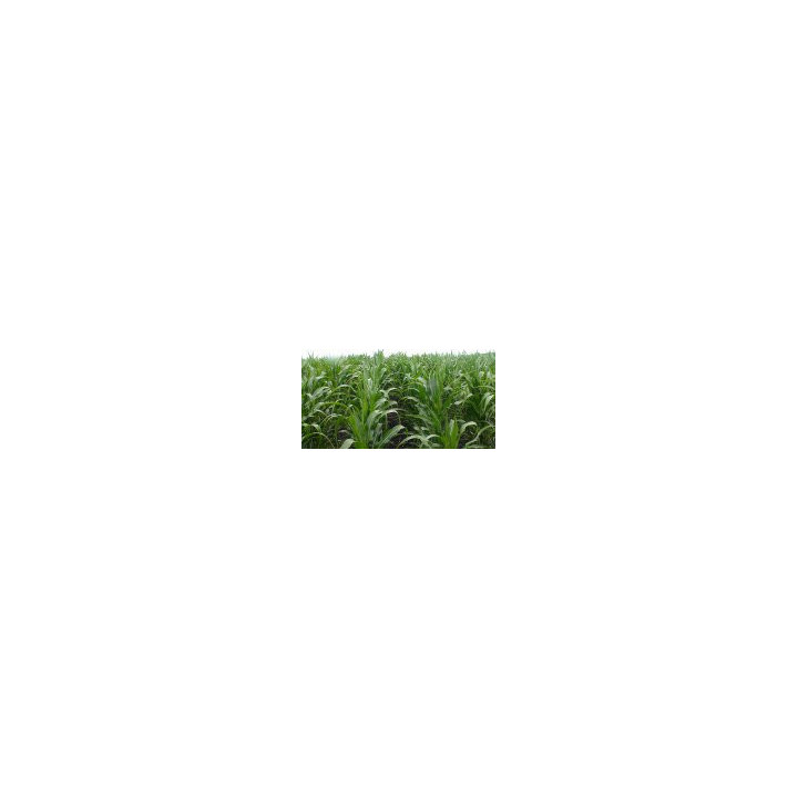 Фруктис / Fructis