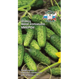 МИКРОН