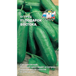 ПОДАРОК ВОСТОКА