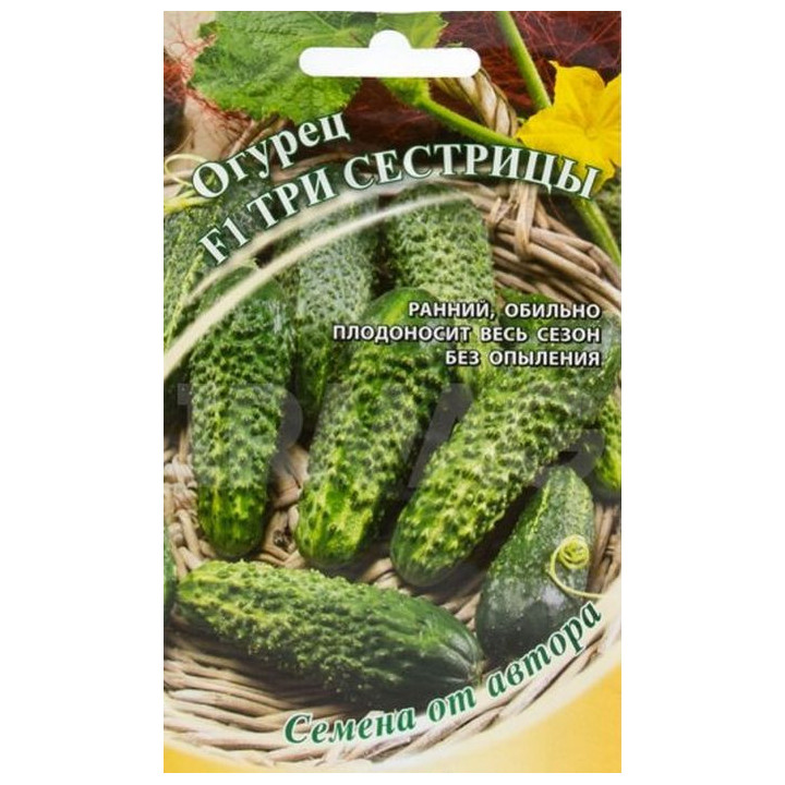 ТРИ СЕСТРИЦЫ