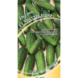 МОГУЧАЯ КУЧКА