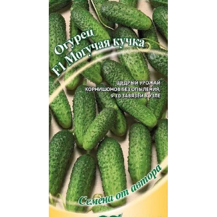 МОГУЧАЯ КУЧКА