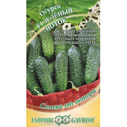 ЗЕЛЕНЫЙ ПОТОК