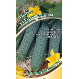 РУССКИЕ МОТИВЫ