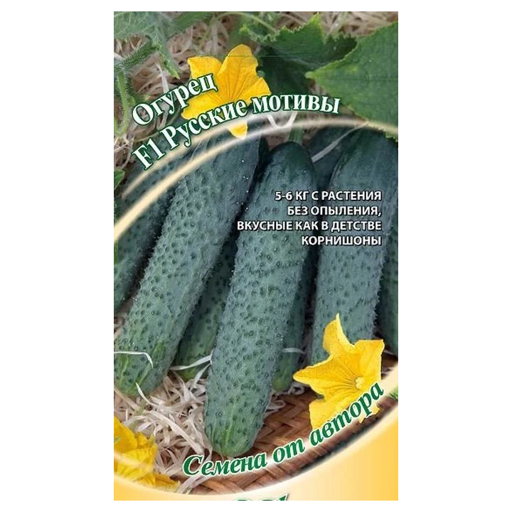 РУССКИЕ МОТИВЫ
