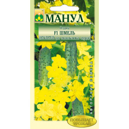 ШМЕЛЬ