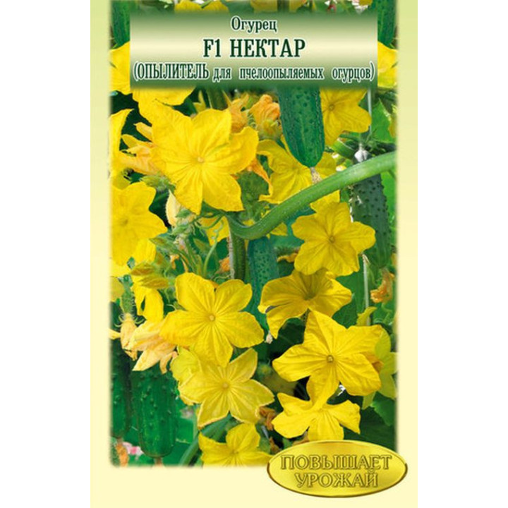 НЕКТАР