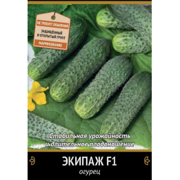 ЭКИПАЖ