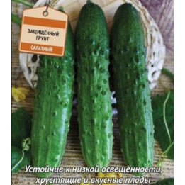 ПРАГМАТИК