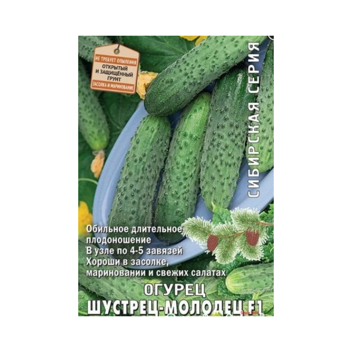 ШУСТРЕЦ-МОЛОДЕЦ