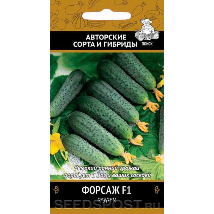 ФОРСАЖ