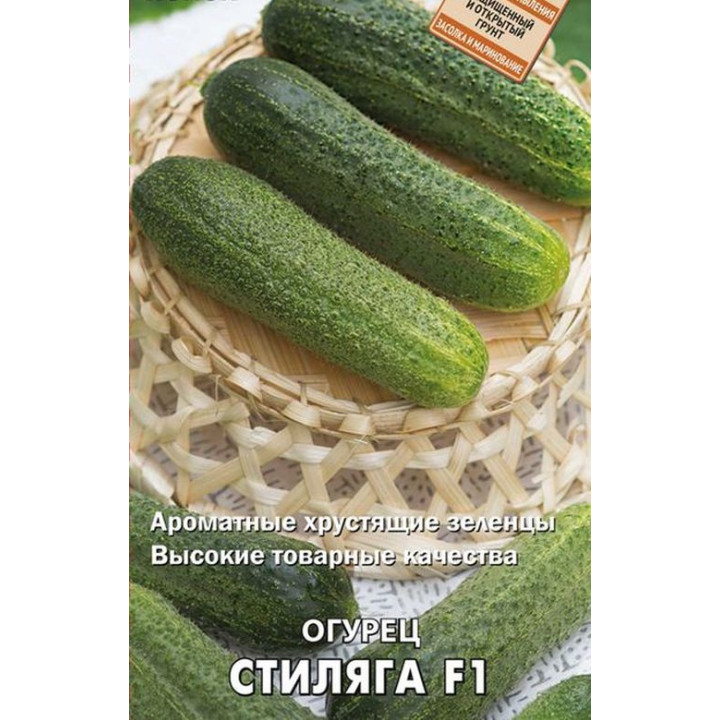 СТИЛЯГА