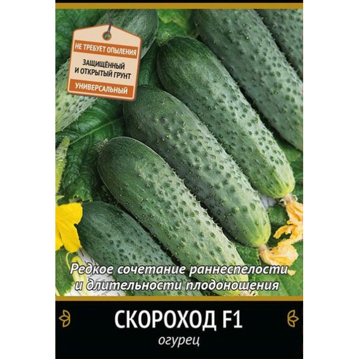 СКОРОХОД