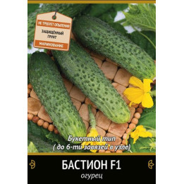 БАСТИОН