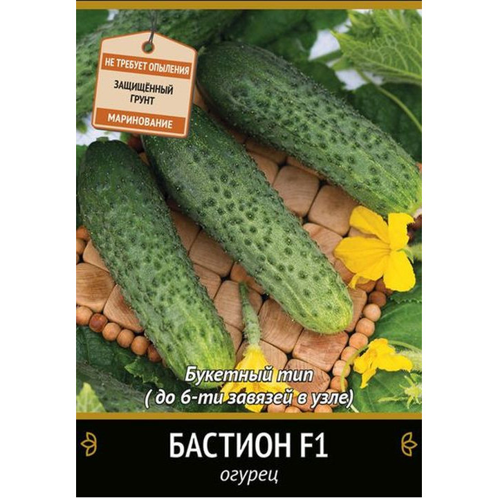 БАСТИОН