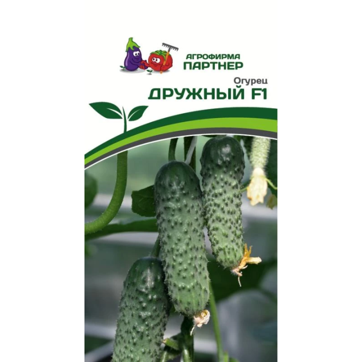 ДРУЖНЫЙ